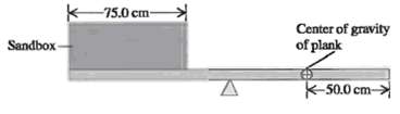 75.0 cm- Center of gravity of plank Sandbox- K-50.0 cm- 