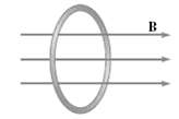 A circular loop of wire of radius