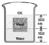 Oil 10.0 Weed cm 10.0 cm Water 