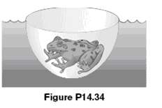 A frog in a hemispherical pod (Fig P14.34) just