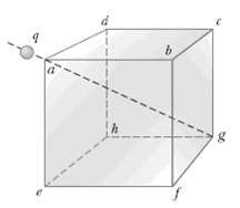 The line ag in Figure P24.22 is a diagonal