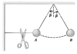 A ball is held at rest at position A in Fig. 5.87