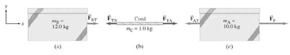 Cord ET Frm mc= 10 kg FAT 120 kg 10.0 kg (a) (c) (b) 