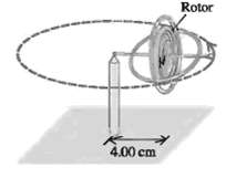 The rotor (flywheel) of a toy gyroscope
