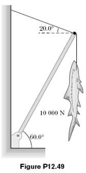 A 10 000-N shark is supported by a cable attached