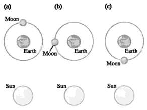(b) (e) (9 Moon Earth Moon Earch Earth Moon Sun Sun Sun 