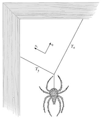 In Figure P3.66 a spider is resting