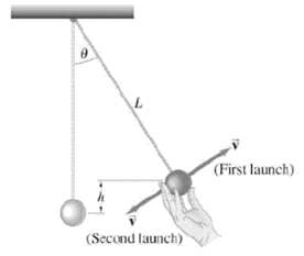 (First launch) (Second launch) 