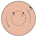 FIGURE Q4.13 shows three points on a steadily rotating wheel.a.
