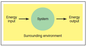 Energy input Energy output System Surrounding environment 