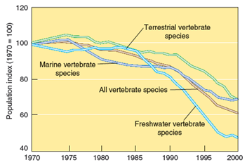 120 Terrestrial vertebrate species 100 Marine vertebrate species 80 All vertebrate species 60 Freshwater vertebrate spec
