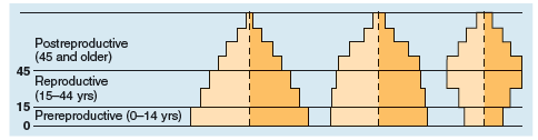 Postreproductive (45 and older) 45 Reproductive (15-44 yrs) 15 Prereproductive (0–14 yrs) 