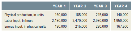 YEAR 3 YEAR 2 YEAR 4 YEAR 1 Physical production, in units Labor input, in hours Energy input, in physical units 185,000 