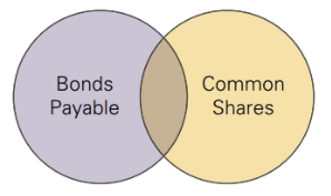 Common Bonds Payable Shares 