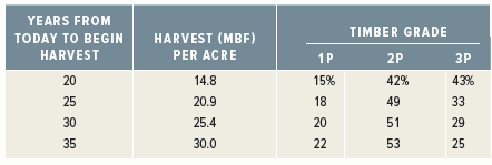 YEARS FROM TIMBER GRADE HARVEST (MBF) PER ACRE TODAY TO BEGIN HARVEST 1P 2P ЗР 43% 33 20 25 14.8 20.9 42% 15% 18 20 49