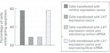 | Cells transfected with 60 control expression vector Cells transfected with LAT expression vector 40 Cells transfected 