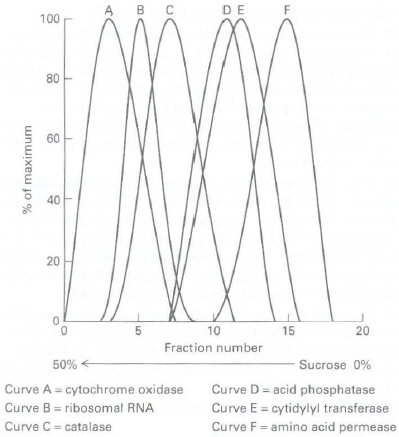 DE 100 80 60 40 20 10 15 20 Fraction number 50% Sucrose 0% Curve A = cytochrome oxidase Curve D = acid phosphatase Curve