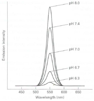 pH 8.0 pH 7.4 pH 7.0 pH 6.7 pH 6.3 450 500 600 650 550 Wavelength (nm) Emission intensity 