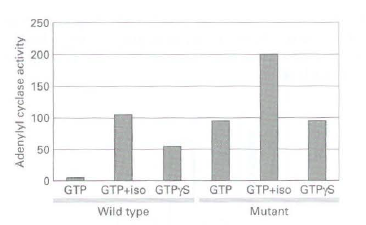 250 200 150 100 GTP GTP+iso GTPS GTP GTP+iso GTPYS Wild type Mutant Adenylyl cyclase activity 