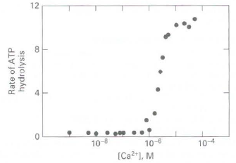 12 10 8 10-6 [Ca2*1, M 10-4 Rate of ATP hydrolysis 