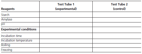 Test Tube 1 (ехperimental) Test Tube 2 Reagents (control) Starch Amylase pH Experimental conditions Incubation time In