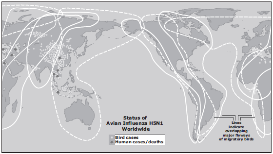 Status of Lines Indicate overlapping major flyways of migratory birds Avian Influenza H5N1 Worldwide Bird cases Human ca