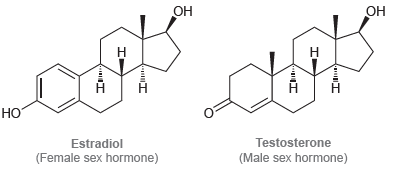 ОН Он НО Testosterone Estradiol (Female sex hormone) (Male sex hormone) 