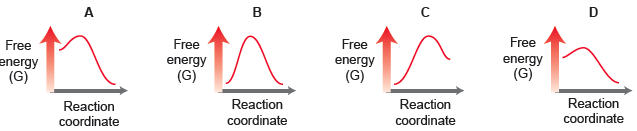 B D Free Free Free Free energy (G) energy (G) energy energy (G) (G) Reaction Reaction Reaction coordinate Reaction coord