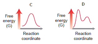Free Free energy (G) energy (G) Reaction Reaction coordinate coordinate 