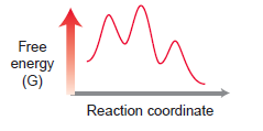 Free energy (G) Reaction coordinate 