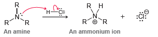 R H CI: Н- 'R An amine An ammonium ion 