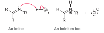 N. CI: R. :Cl: An imine An iminium ion 