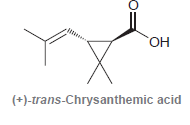 Он (+)-trans-Chrysanthemic acid 