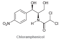Он он ОН CI .N. н O2N H-N Chloramphenicol 