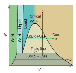 Critical point P. Gas Liquid+Gas Triple line Solid + Gas pinbi7 Solid + Liquid Pjos 