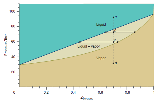 100 Liquid 80 60 Liquid + vapor 40 Vapor 20 0.2 0.4 0.6 0.8 Zbenzene Pressure/Torr 