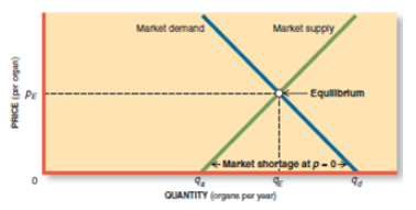 Market demand Market supply - Equilibrtum Market shortage at p-0 QUANTITY (organe per yoar) PRICE (per organ) 