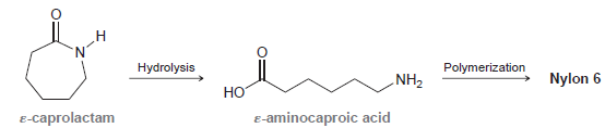 Polymerization Hydrolysis Nylon 6 NH2 Но E-aminocaproic acid E-caprolactam 