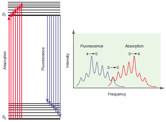 Fluorescence Absorption 0-4 Frequency So Absorption Fluorescence Intensity 