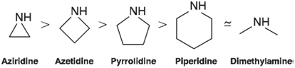 NH NH NH NH NH Azetidine Aziridine Piperidine Dimethylamine Pyrrolidine 