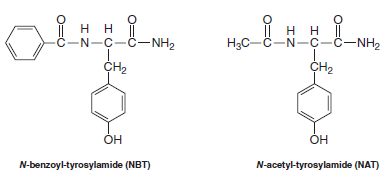 нн нн -C-N-C-C-NH, Нас —С—N—с -С-NH2 CH2 CH2 Он Он N-benzoyl-tyrosylamide (NBT) N-acetyl-tyrosylamid