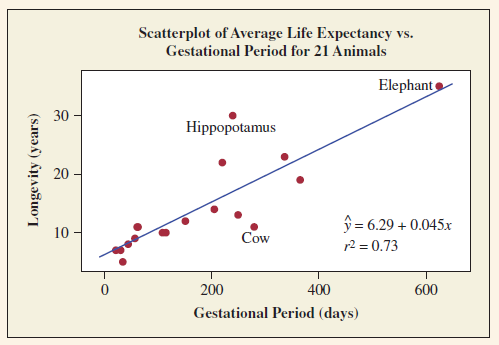 Scatterplot of Average Life Expectancy vs. Gestational Period for 21 Animals Elephant 30 Hippopotamus 20 ý = 6.29 + 0.0
