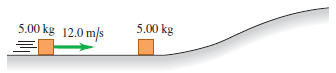5.00 kg 5.00 kg 12.0 m/s 