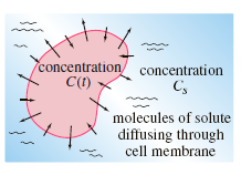 concentration concentration C() C, molecules of solute diffusing through cell membrane 
