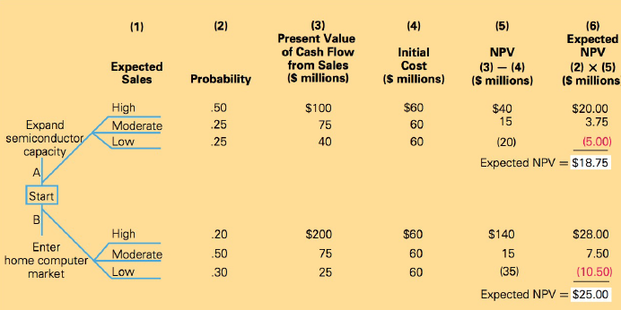 (3) Present Value of Cash Flow from Sales (S millions) (2) (4) (5) (6) Expected NPV (2) x (5) (S millions (1) Initial Co