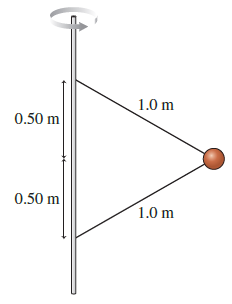 1.0 m 0.50 m 0.50 m 1.0 m 