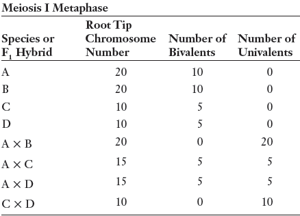 Meiosis I Metaphase Root Tip Chromosome Number of Number of Species or F, Hybrid Number Bivalents Univalents A 20 10 B 2