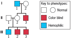 Key to phenotypes: O Normal 1 2 Color blind 3 Hemophilic 3 