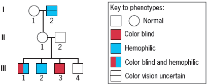 Key to phenotypes: Normal Color blind II 2 Hemophilic Color blind and hemophilic Color vision uncertain 1 2 3 4 2. 