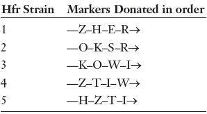 Hfr Strain Markers Donated in order -Z-H-E-R→ 2 -0-K-S-R→ -K-O-W-I→ -Z-T-I-W→ 4 -H-Z-T-I→ 5 